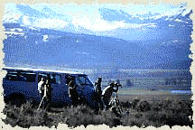 yellowstone wolf viewing trips doug smith